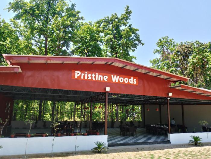 pristine woods dehradun