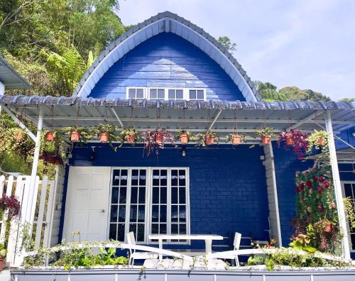 Blue Cabins By Pfordten Cottage,,3 star