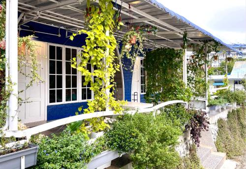 blue cabins by pfordten cottage
