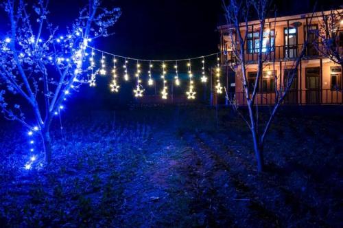 blue sky home jibhi