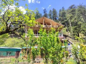 blue sky home jibhi