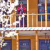 blue sky home jibhi