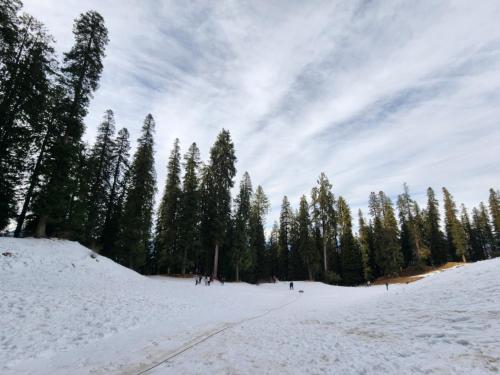 hotel ranveer palace