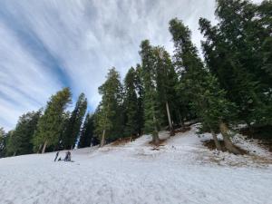 hotel ranveer palace