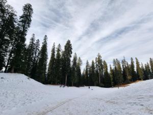 hotel ranveer palace