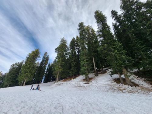 hotel ranveer palace