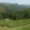 vagamon