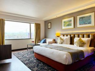 hotel lake view kashmir