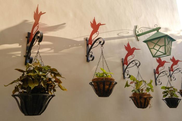 shree nikunj a boutique homestay