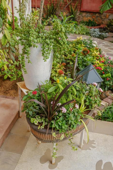 shree nikunj a boutique homestay