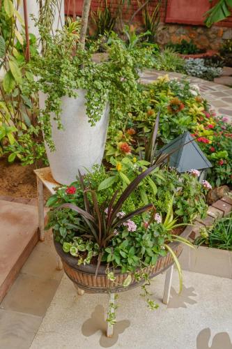 shree nikunj a boutique homestay