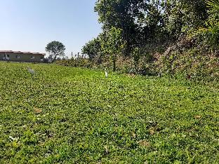 ranthambhore tiger village