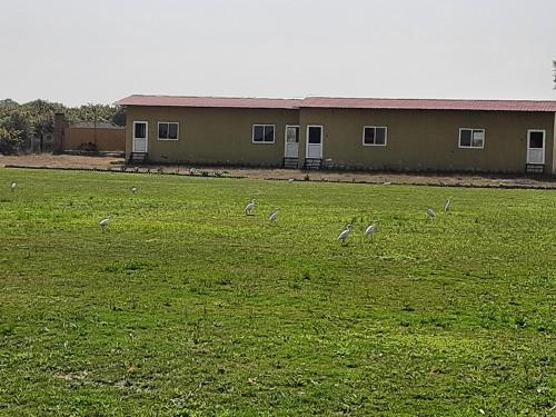 ranthambhore tiger village