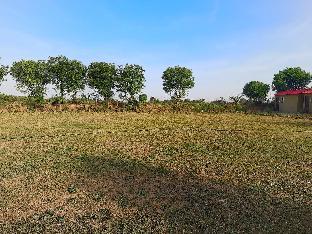ranthambhore tiger village