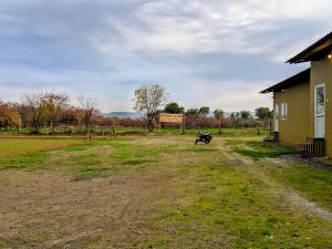 ranthambhore tiger village