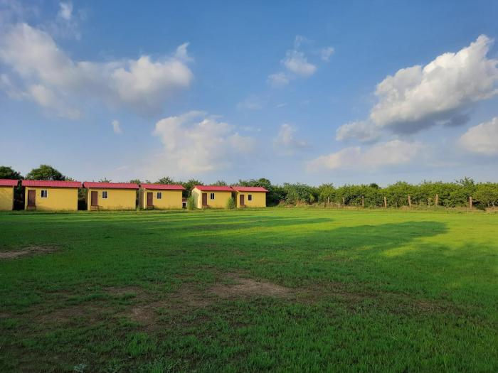 ranthambhore tiger village