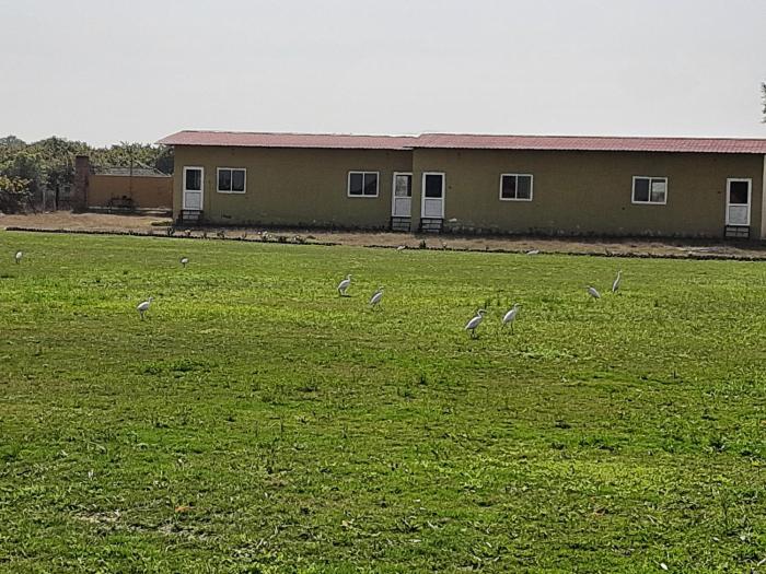 ranthambhore tiger village