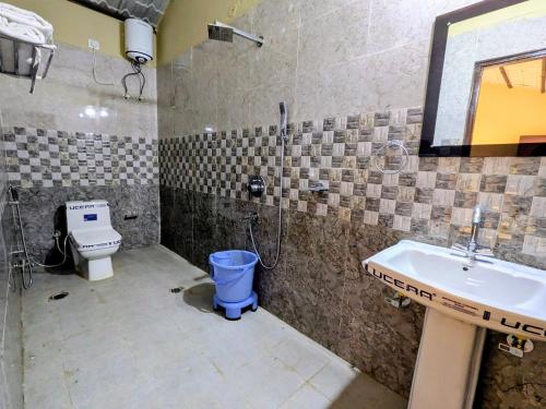 ranthambhore tiger village