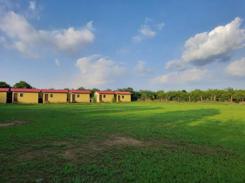 ranthambhore tiger village