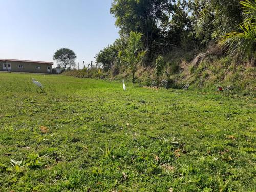 ranthambhore tiger village