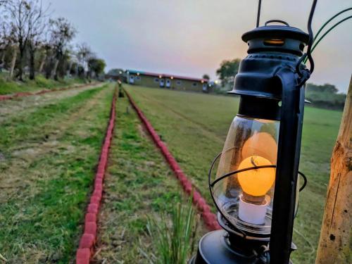 ranthambhore tiger village
