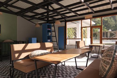 the trippy tribe kasol