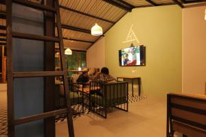 the trippy tribe kasol