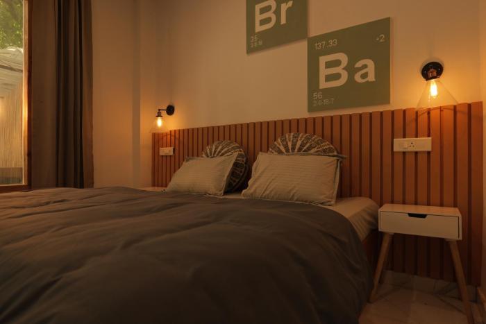 the trippy tribe kasol