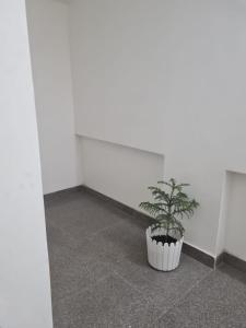 hotel amahi inn sector 48