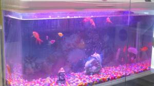 hotel vaidik ganga near parmarth niketan