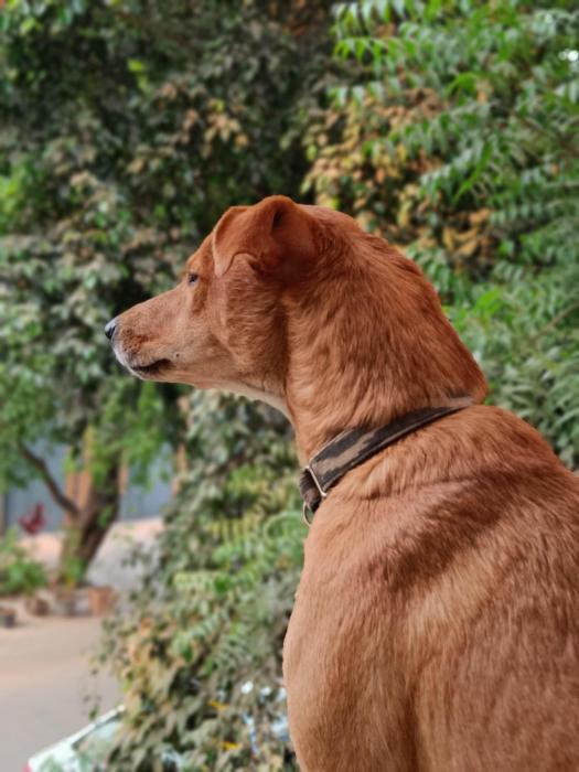 house of stories indiranagar