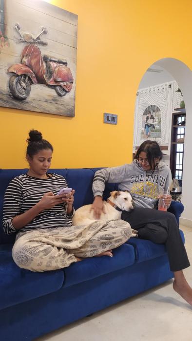 house of stories indiranagar