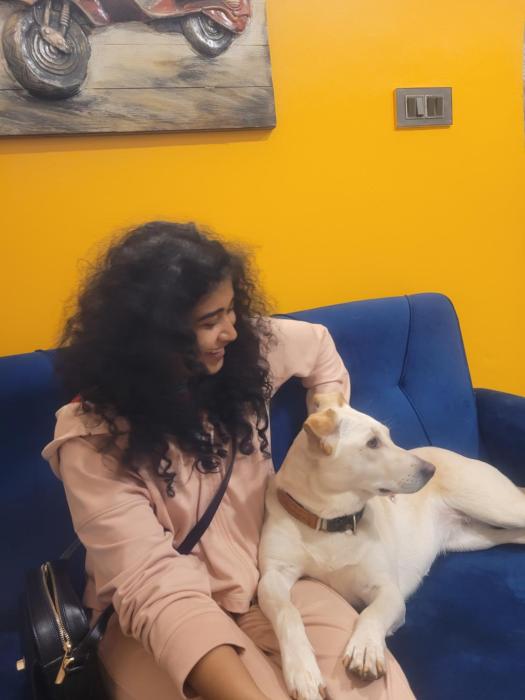 house of stories indiranagar