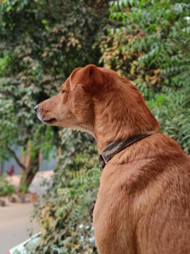 house of stories indiranagar
