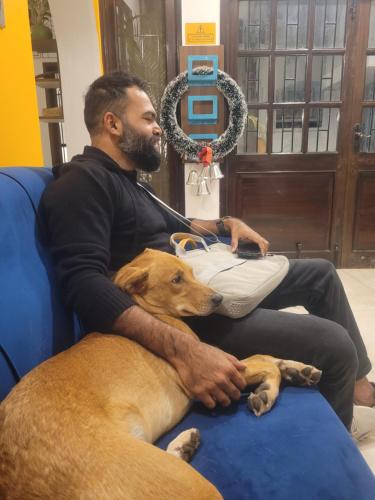 house of stories indiranagar