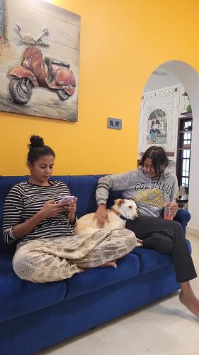 house of stories indiranagar