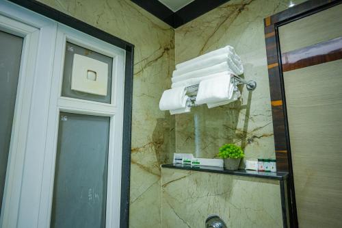sri shyam villas