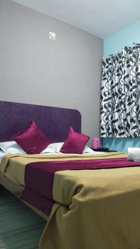 misty stay by le apex