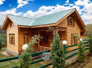 the frozenfall resort gulmarg