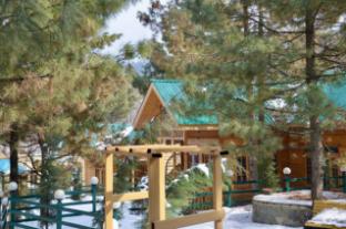 the frozenfall resort gulmarg