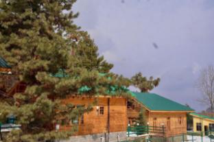 the frozenfall resort gulmarg