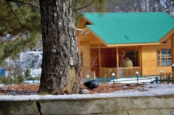 the frozenfall resort gulmarg