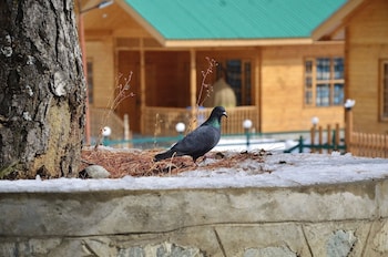 the frozenfall resort gulmarg