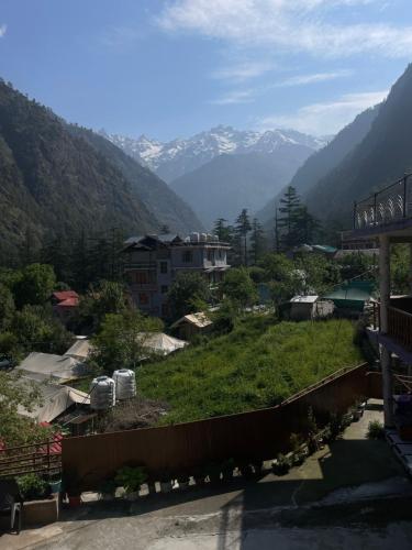 jungle by sturmfrei kasol