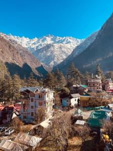 jungle by sturmfrei kasol