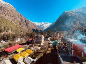 jungle by sturmfrei kasol