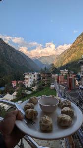 jungle by sturmfrei kasol