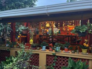 Georgia Sunshine Village,,3 star