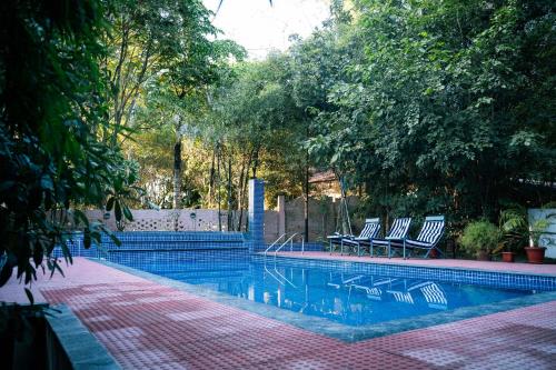 wilderness camp resort pench