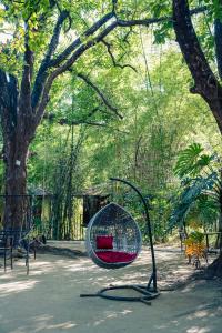 wilderness camp resort pench